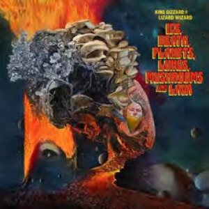 King Gizzard & The Lizard Wizard - Ice, Death, Planets, Lungs, Mushroom And Lava 2LP