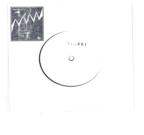 Koazoamo - Synapskollaps EP (Back)