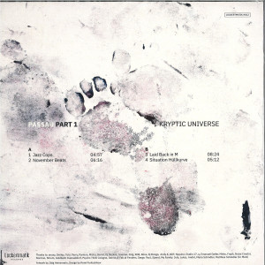 Kryptic Universe - Passau Part 1 (Back)
