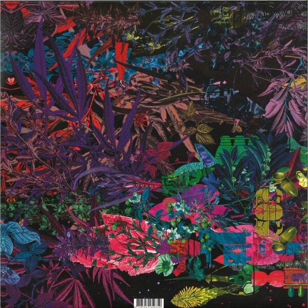 LCSM (LIKWID CONTINUAL SPACE MOTION) - EARTHBOUND (Back)