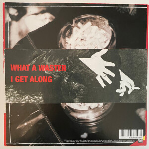 LIBERTINES, THE - WHAT A WASTER (Back)