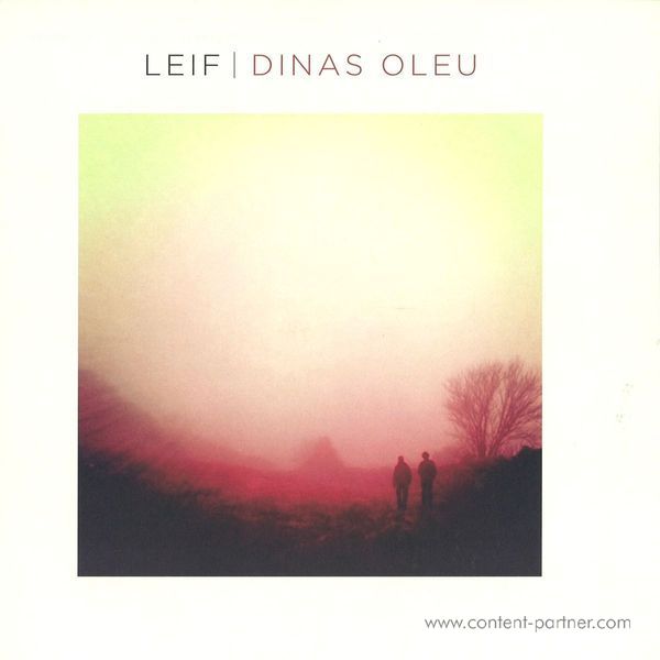 Leif - Dinas Oleu