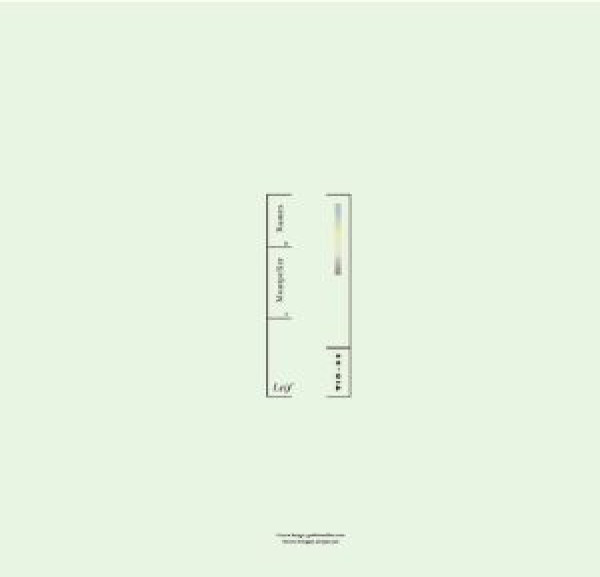 Leif - Montpelier/Rumex (Back)