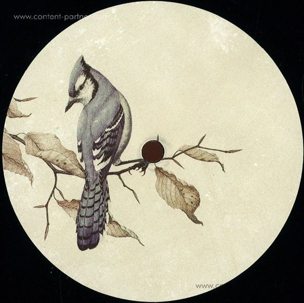 Leif - Nour & Light (Back)