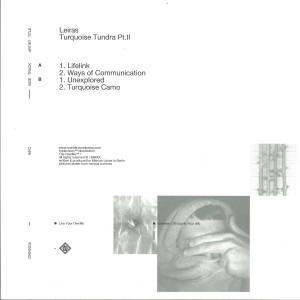 Leiras - Turquoise Tundra pt. II (Back)