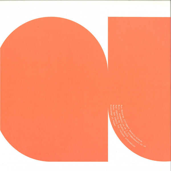 Leon Vynehall - Brother/Sister EP (2021 Repress) (Back)
