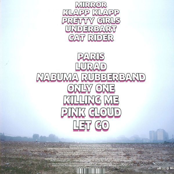 Little Dragon - Nabuma Rubberband (LP+CD) (Back)
