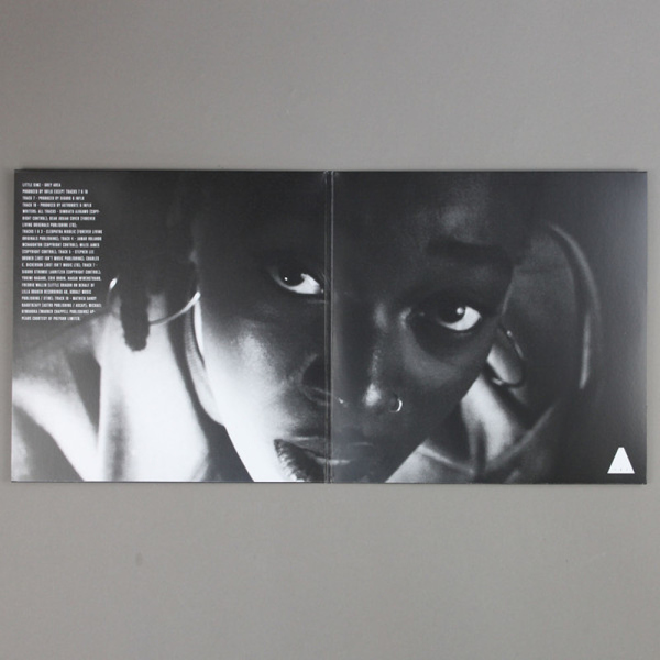 Little Simz - GREY Area (Coloured LP/Gatefold) (Back)