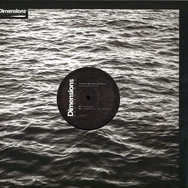 London Modular Alliance - Hands & Brains Ep (Back)
