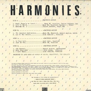 Lord Echo - Harmonies (DJ Friendly 2LP Edition) (Back)