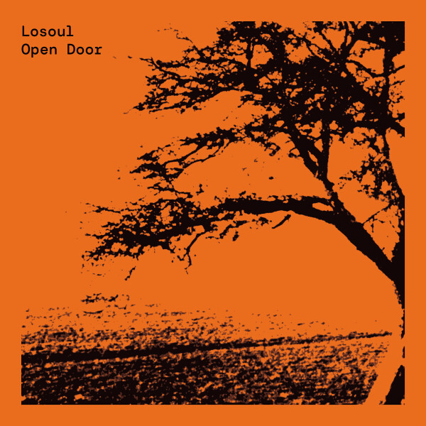 Losoul - Open Door (Expanded 2x12”)