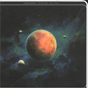 Luigi Tozzi - Wastelands [full colour custom cut sleeve / 180 gr (Back)