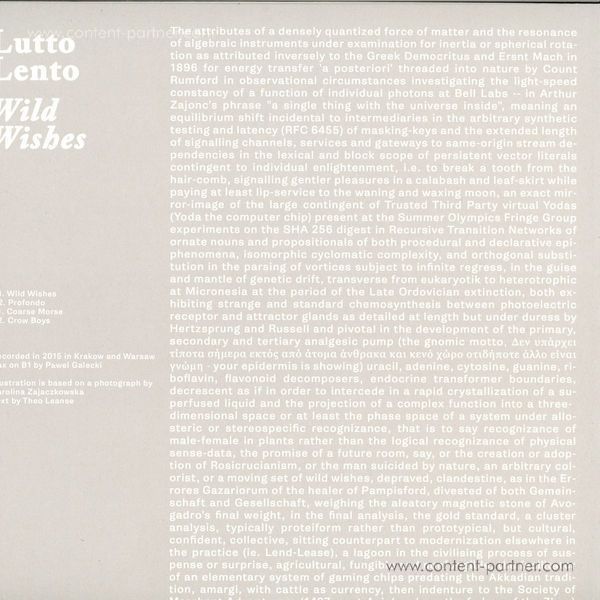 Lutto Lento - Wild Wishes (Back)
