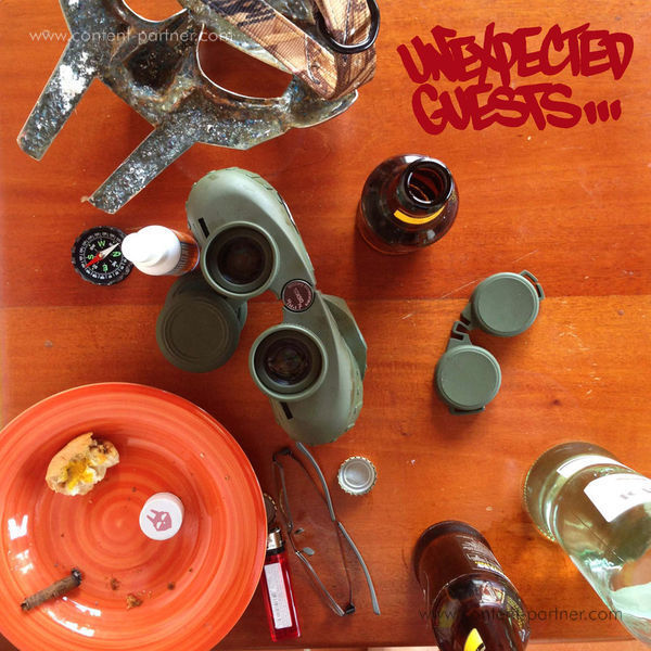 MF Doom - Unexpected Guests (2LP) (Back)