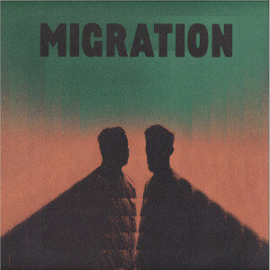 Marvin & Guy - Migration (12" Vinyl)