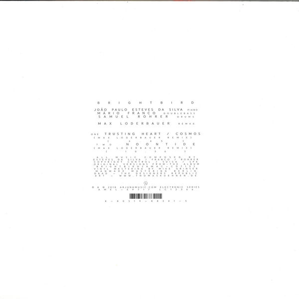 Max Loderbauer - Brightbird Remixes (Back)
