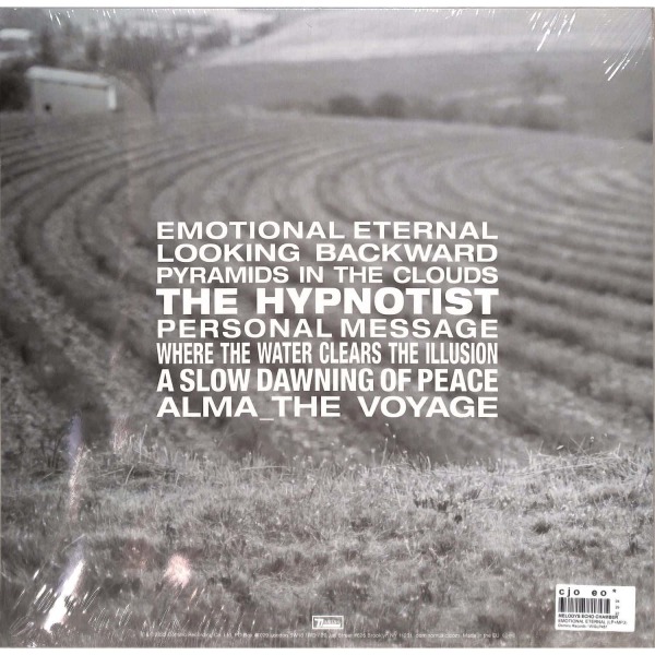Melody's Echo Chamber - Emotional Eternal (LP+MP3) (Back)