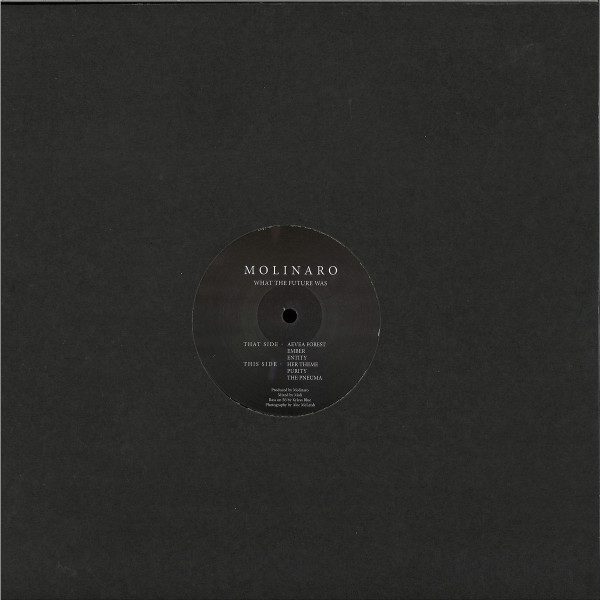 Molinaro - What The Future Was (Back)