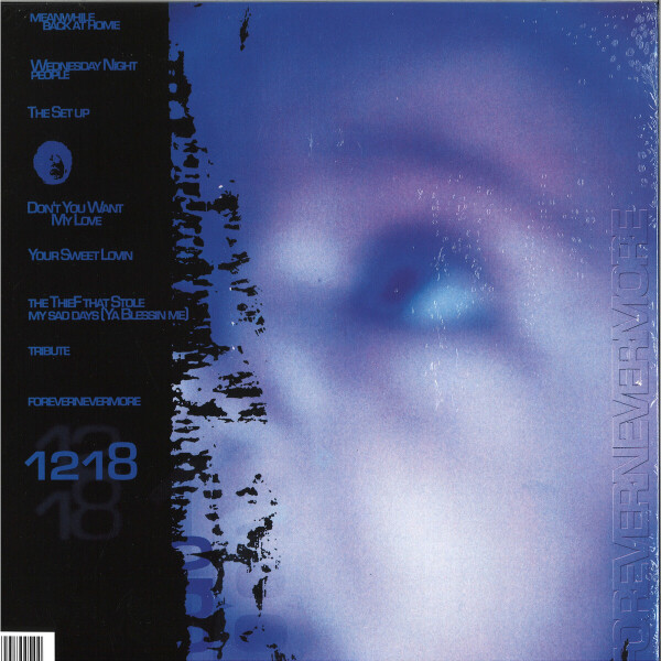 Moodymann - FOREVERNEVERMORE - CLEAR VINYL REPRESS (Back)