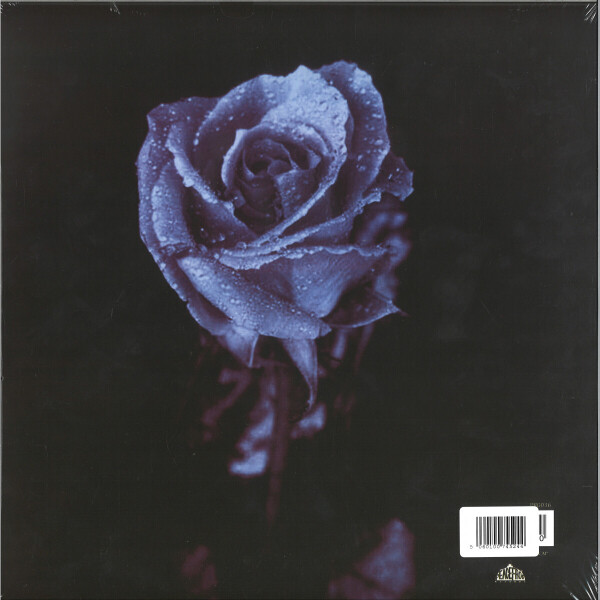 Moodymann - Silence In The Secret Garden (Clear Vinyl Repress) (Back)