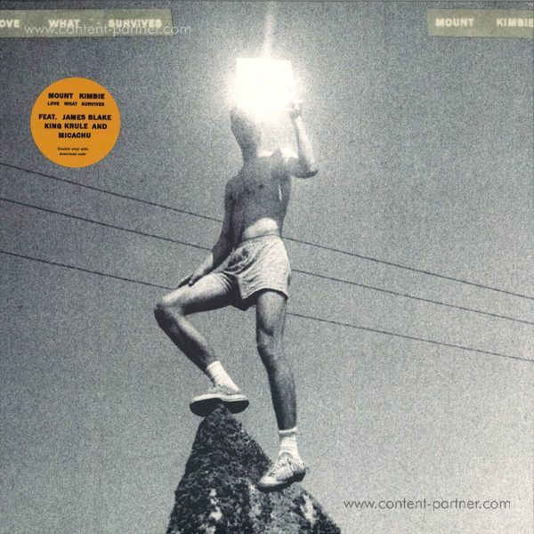 Mount Kimbie - Love What Survives (2LP/Gatefold)