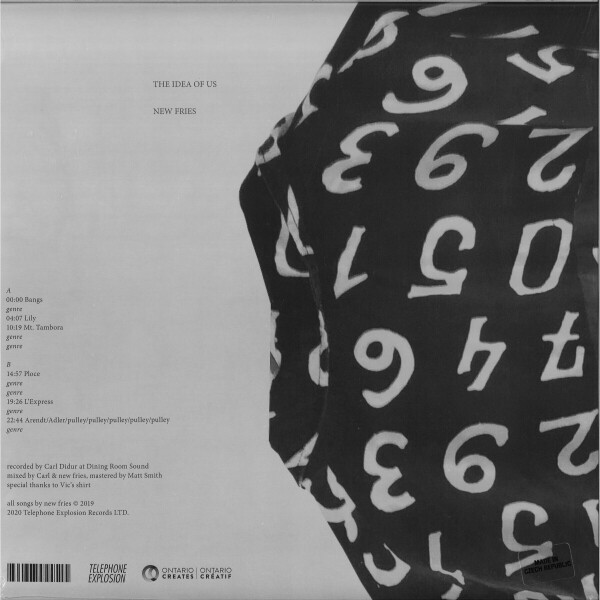 NEW FRIES - IS THE IDEA OF US (Back)