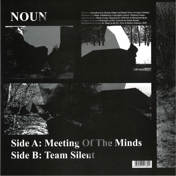 Noun (Daniel Avery & Roman Flügel) - Meeting Of The Minds (Back)