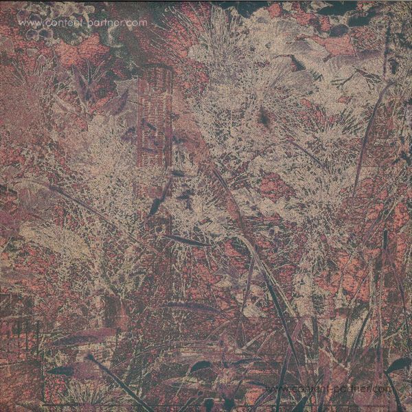Nummer - Second Sight (Back)