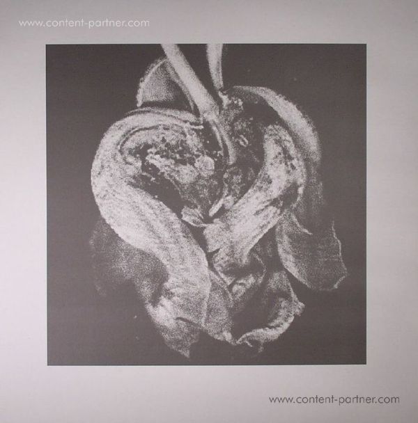 Ol - Scape Border Ep