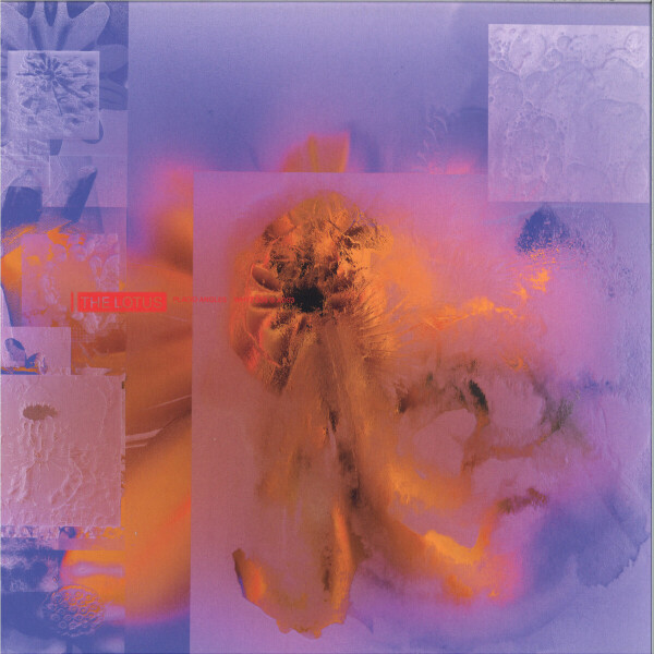 PLACID ANGLES (aka John Beltran) - 056 (THE LOTUS)