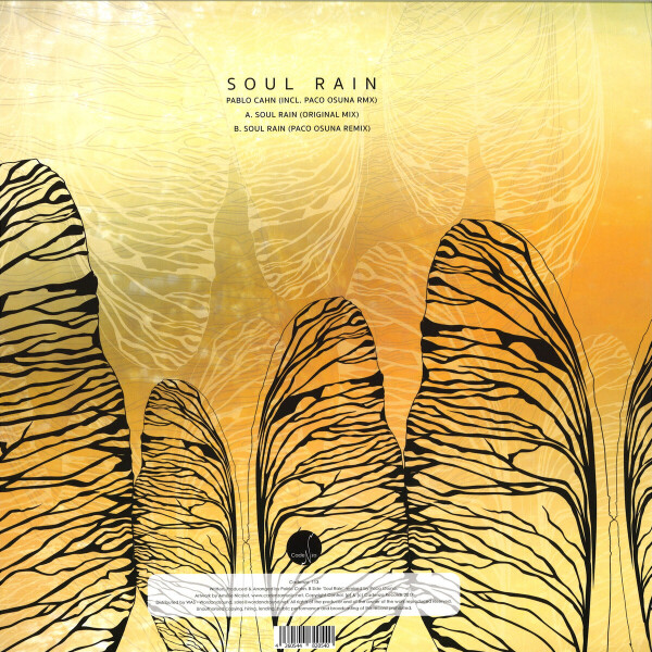 Pablo Cahn - Soul Rain (Back)