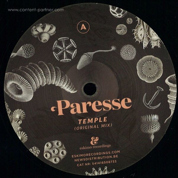 Paresse - Temple (simple Symmetry Remix)