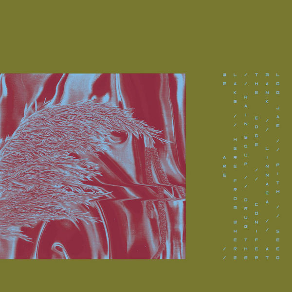 Pariah - Here From Where We Are (180g LP)