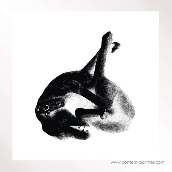 Patricia - Several Shades of The Same Color
