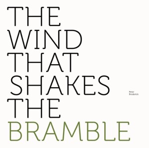 Peter Broderick - The Wind That Shakes the Bramble (LP)