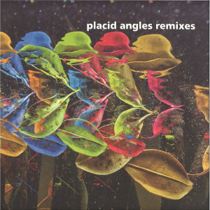 Placid Angles - Touch The Earth Remixes