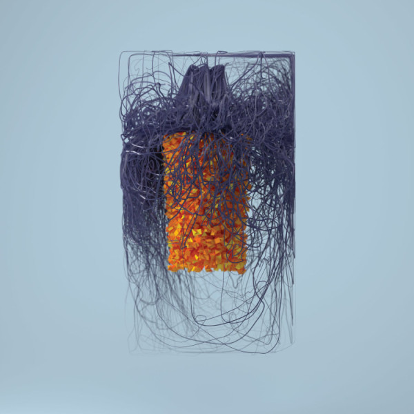 Plaid - Polymer (2LP+MP3)