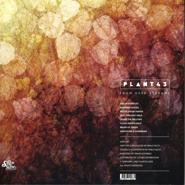 Plant43 - From Deep Streams (Back)