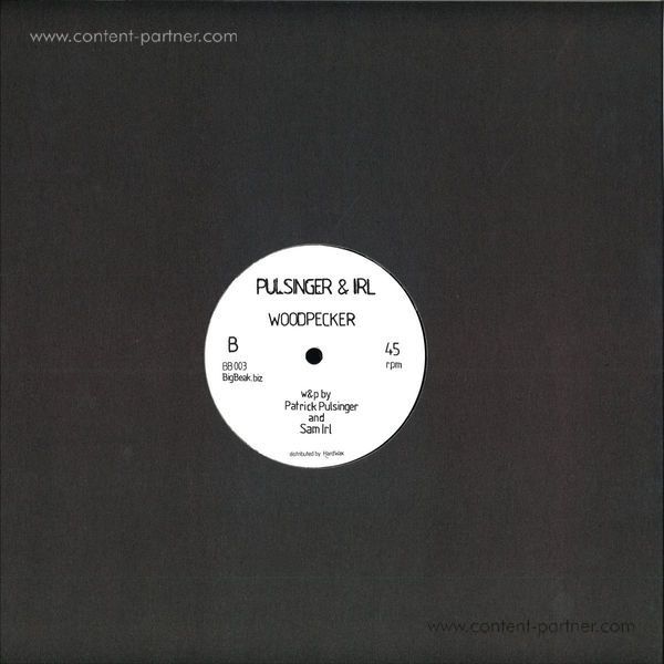 Pulsinger & Irl - Function Creep (Back)