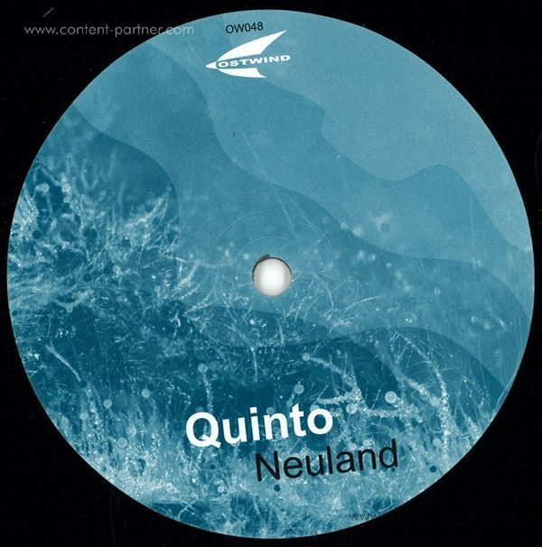 Quinto - Neuland