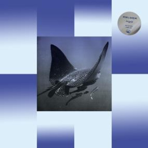 RELMER - H2O