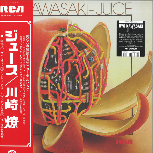 RYO KAWASAKI - JUICE
