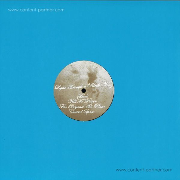 Reedale Rise - Light Through A Birds Wing (Repress) (Back)