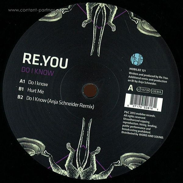 Re.you - Do I Know, Anja Schneider Remix