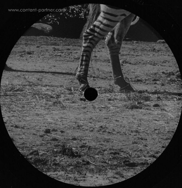 Rhyw - Rhyw Th05