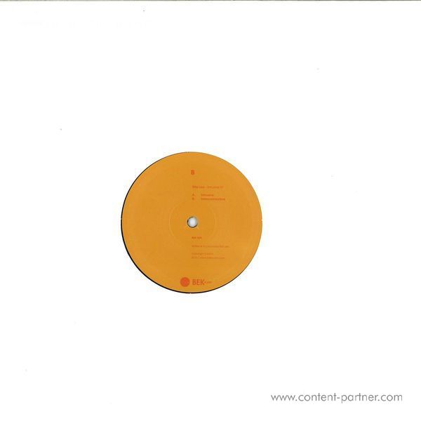 Ritzi Lee - Intrusive EP (Back)