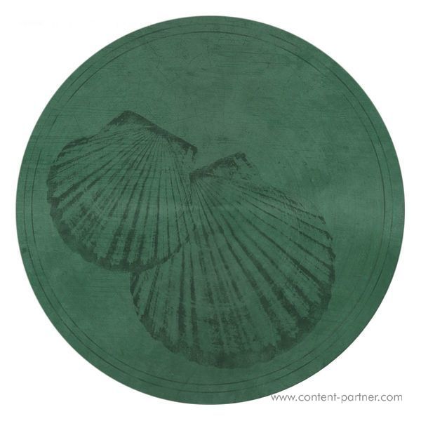 Roberto - Pecten Gibbus