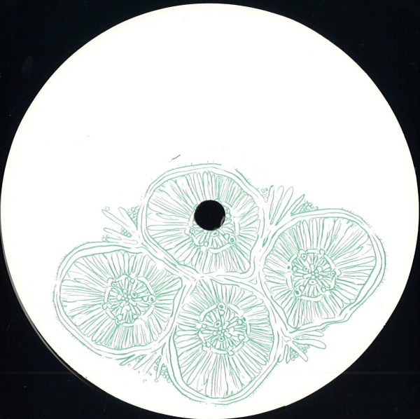 Rudolf C - EndoPlazm EP