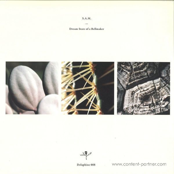 S. A. M. - Dream State of Bellmaker