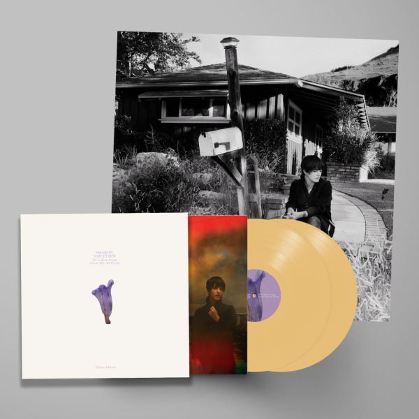 SHARON VAN ETTEN - WE'VE BEEN GOING ABOUT THIS ALL WRONG